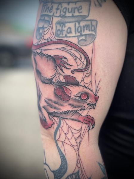 Tattoos - Rat with spiderwebs - 145846